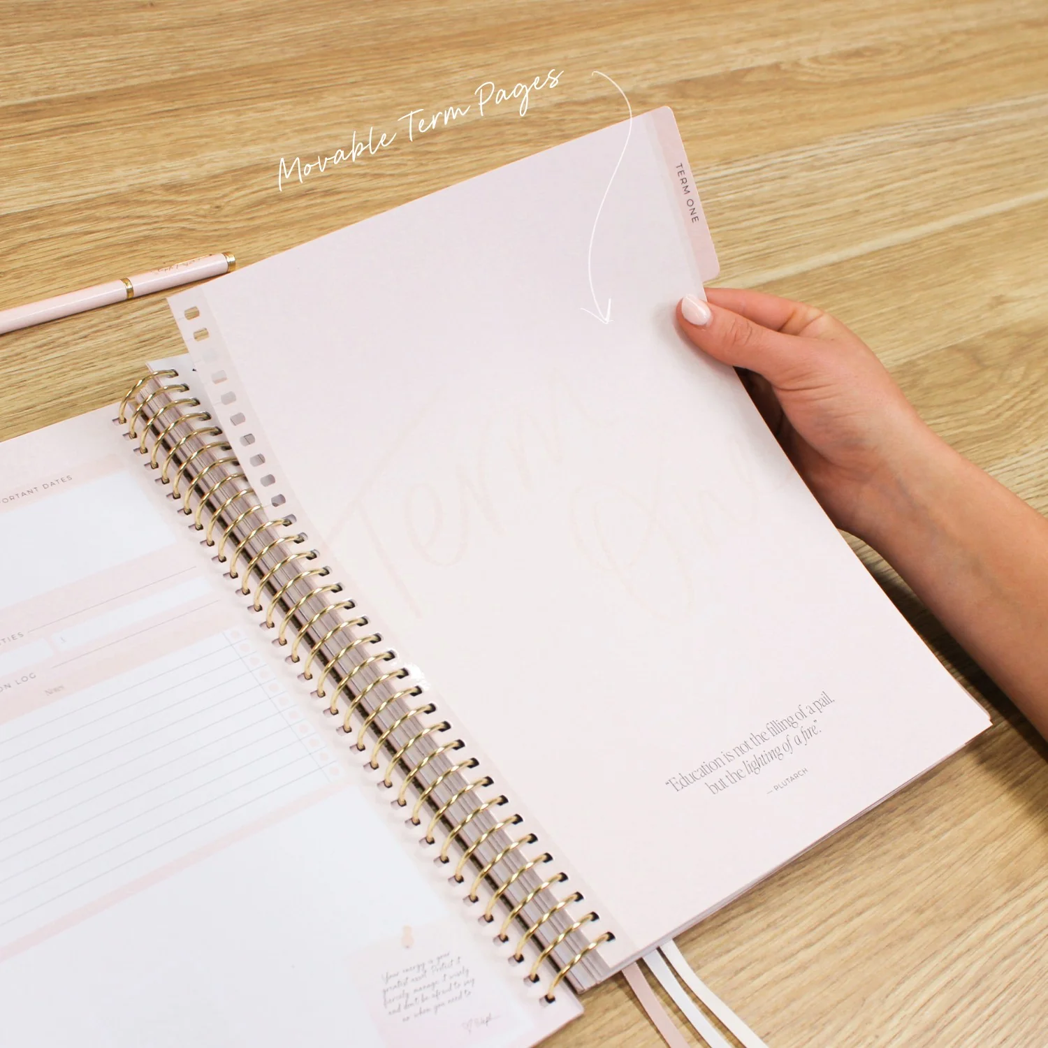 2026 Teacher Planner - Blush - Image 8