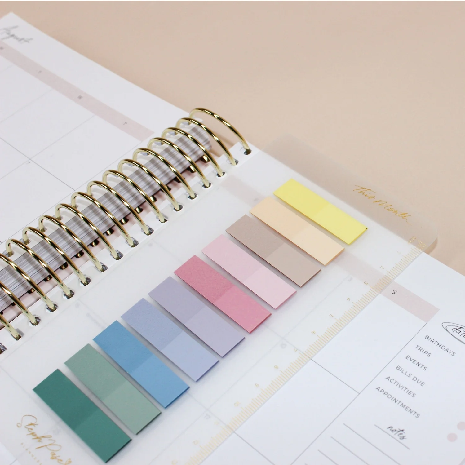 Snap-in 'This Month' Sticky Note Bookmark - Gold - Image 9